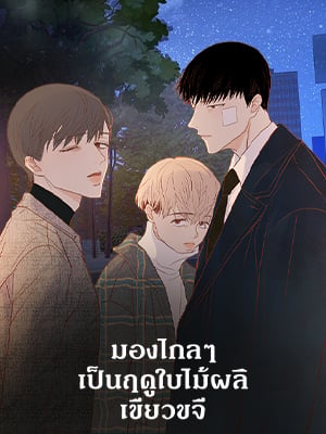 มองไกลๆ เป็นฤดูใบไม้ผลิเขียวขจี | From a Distance, Spring is Green